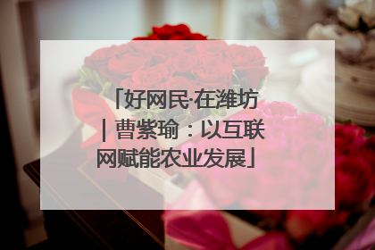 好网民·在潍坊｜曹紫瑜：以互联网赋能农业发展