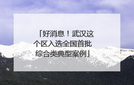好消息！武汉这个区入选全国首批综合类典型案例