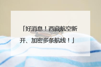 好消息！西藏航空新开、加密多条航线！