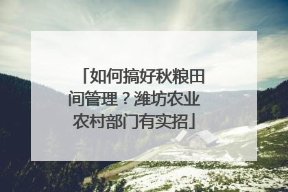 如何搞好秋粮田间管理？潍坊农业农村部门有实招