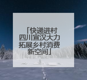 快递进村 四川宣汉大力拓展乡村消费新空间