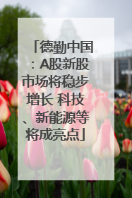 德勤中国：A股新股市场将稳步增长 科技、新能源等将成亮点