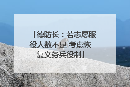 德防长：若志愿服役人数不足 考虑恢复义务兵役制