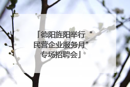 德阳旌阳举行“民营企业服务月”专场招聘会
