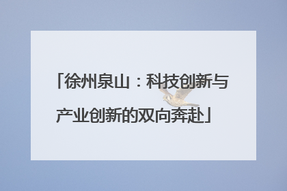 徐州泉山：科技创新与产业创新的双向奔赴