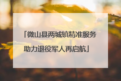 微山县两城镇精准服务助力退役军人再启航