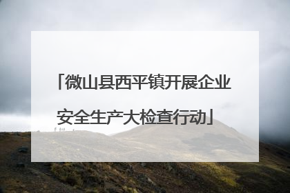微山县西平镇开展企业安全生产大检查行动