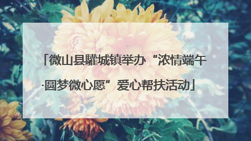 微山县驩城镇举办“浓情端午·圆梦微心愿”爱心帮扶活动