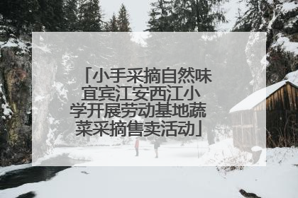 小手采摘自然味 宜宾江安西江小学开展劳动基地蔬菜采摘售卖活动