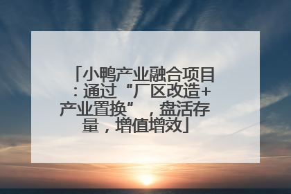 小鸭产业融合项目：通过“厂区改造+产业置换”，盘活存量，增值增效