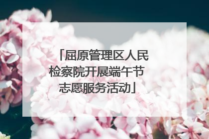 屈原管理区人民检察院开展端午节志愿服务活动