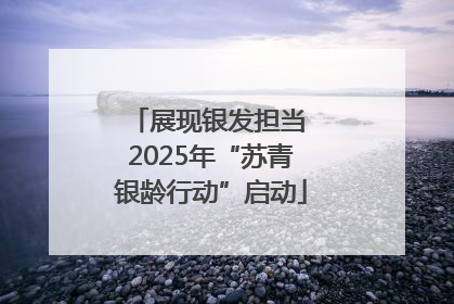 展现银发担当 2025年“苏青银龄行动”启动