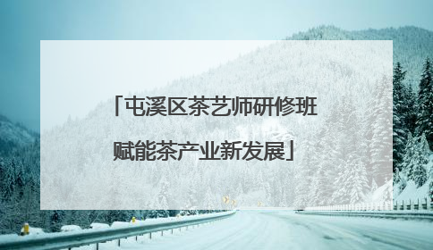 屯溪区茶艺师研修班赋能茶产业新发展