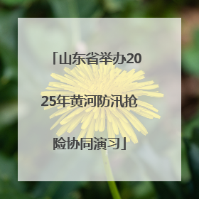 山东省举办2025年黄河防汛抢险协同演习