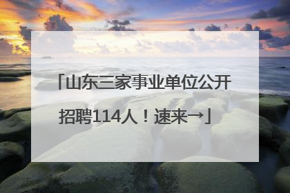 山东三家事业单位公开招聘114人！速来→