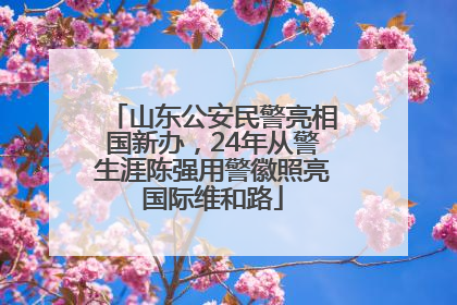 山东公安民警亮相国新办，24年从警生涯陈强用警徽照亮国际维和路