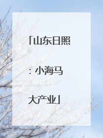 山东日照：小海马 大产业