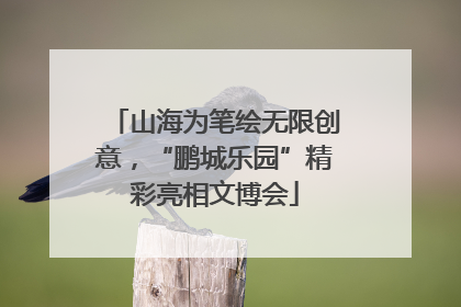 山海为笔绘无限创意，“鹏城乐园”精彩亮相文博会