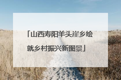 山西寿阳羊头崖乡绘就乡村振兴新图景