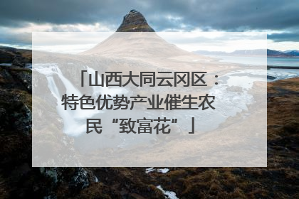 山西大同云冈区：特色优势产业催生农民“致富花”