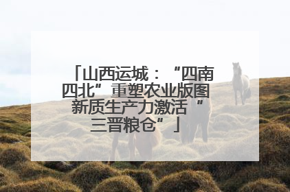山西运城：“四南四北”重塑农业版图 新质生产力激活“三晋粮仓”