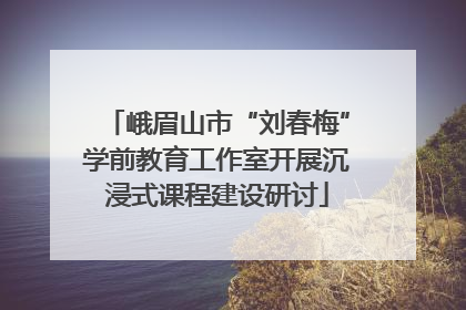 峨眉山市“刘春梅”学前教育工作室开展沉浸式课程建设研讨