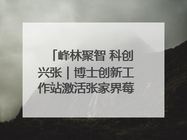 峰林聚智 科创兴张｜博士创新工作站激活张家界莓茶产业新动能