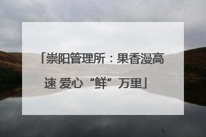 崇阳管理所：果香漫高速 爱心“鲜”万里