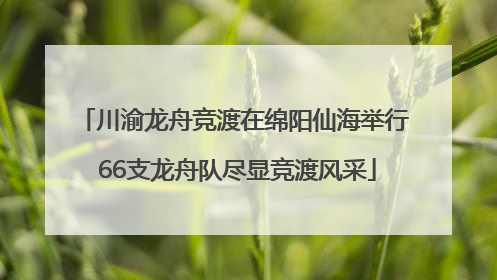 川渝龙舟竞渡在绵阳仙海举行 66支龙舟队尽显竞渡风采