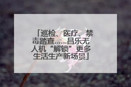 巡检、医疗、禁毒踏查……昌乐无人机“解锁”更多生活生产新场景