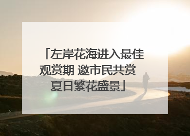左岸花海进入最佳观赏期 邀市民共赏夏日繁花盛景