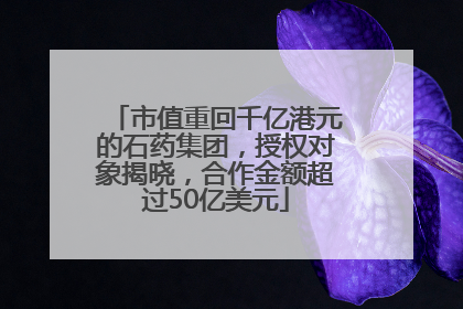 市值重回千亿港元的石药集团，授权对象揭晓，合作金额超过50亿美元