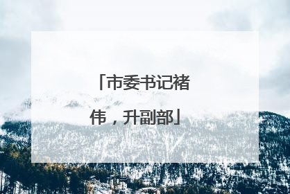 市委书记褚伟，升副部