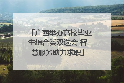广西举办高校毕业生综合类双选会 智慧服务助力求职