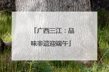 广西三江：品味非遗迎端午