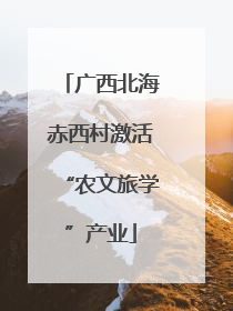 广西北海赤西村激活“农文旅学”产业