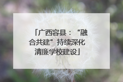 广西容县：“融合共建”持续深化清廉学校建设