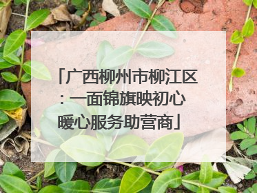 广西柳州市柳江区：一面锦旗映初心 暖心服务助营商