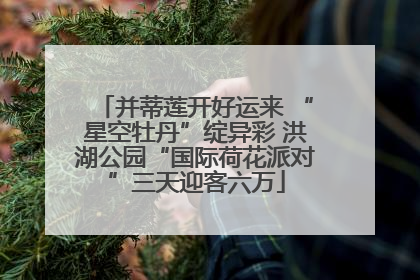 并蒂莲开好运来 “星空牡丹”绽异彩 洪湖公园“国际荷花派对”三天迎客六万