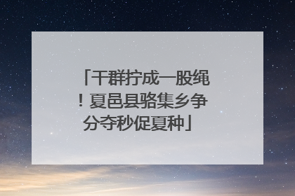 干群拧成一股绳！夏邑县骆集乡争分夺秒促夏种