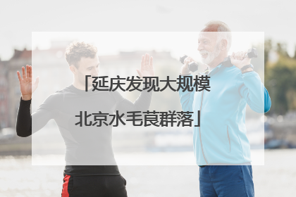 延庆发现大规模北京水毛茛群落