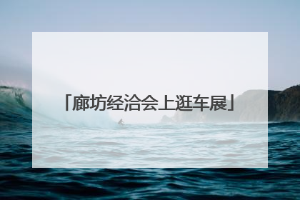 廊坊经洽会上逛车展