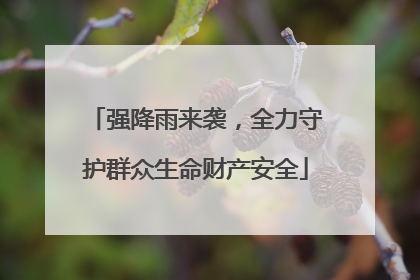 强降雨来袭，全力守护群众生命财产安全
