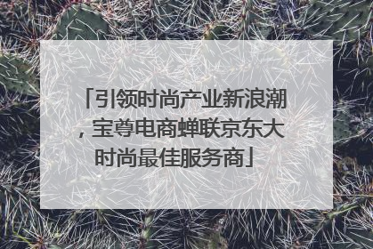 引领时尚产业新浪潮，宝尊电商蝉联京东大时尚最佳服务商