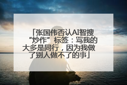 张国伟否认AI智搜“炒作”标签：骂我的大多是同行，因为我做了别人做不了的事