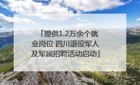 提供1.2万余个就业岗位 四川退役军人及军属招聘活动启动