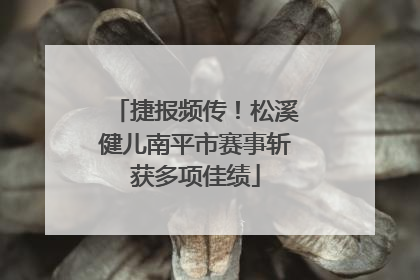 捷报频传！松溪健儿南平市赛事斩获多项佳绩