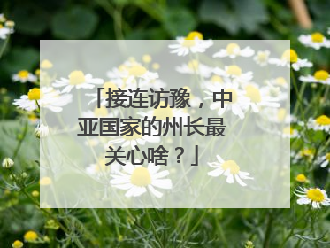接连访豫，中亚国家的州长最关心啥？