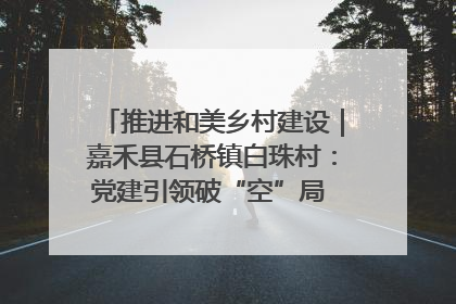 推进和美乡村建设｜嘉禾县石桥镇白珠村：党建引领破“空”局 乡贤聚力绘就新图景