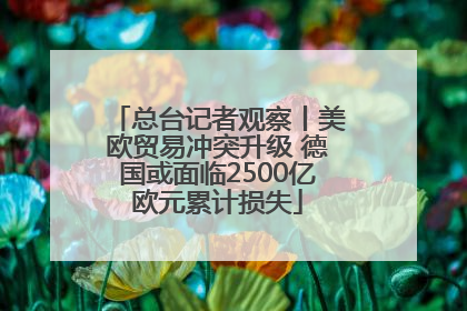 总台记者观察丨美欧贸易冲突升级 德国或面临2500亿欧元累计损失